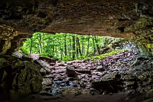 Discovering the Hidden Gems of Clifty Falls State Park
