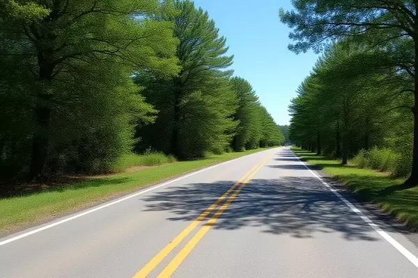 Discovering History and Nature Along South Carolina's Ashley River Road