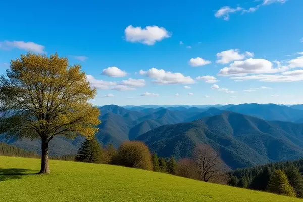 Virginia's Blue Ridge Mountains: A Scenic Appalachian Trail Hike