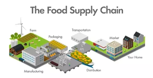 How Food Supply Chains Deliver Products from Farms to Supermarkets