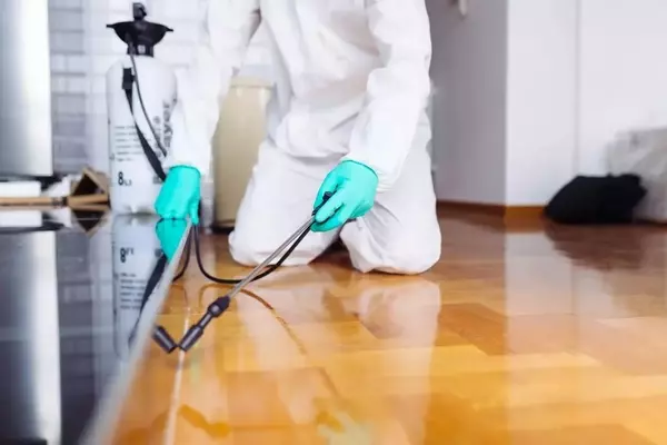 Battle of the Biome: Your Ultimate Guide to Evicting Bugs and Banishing Humidity