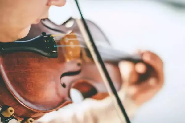 Violin Training: Fundamentals, Techniques, and Educational Approaches