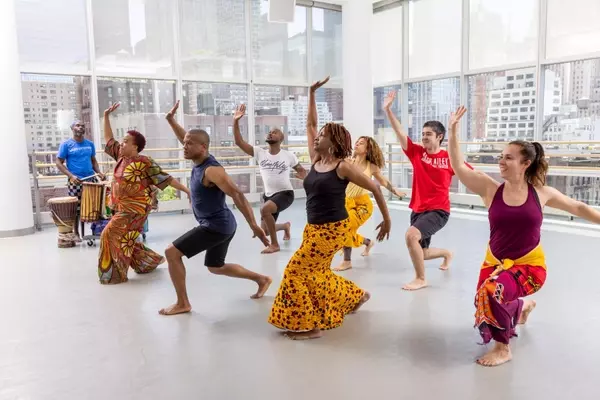 Dance Training: Concepts, Learning Processes, and Broader Context