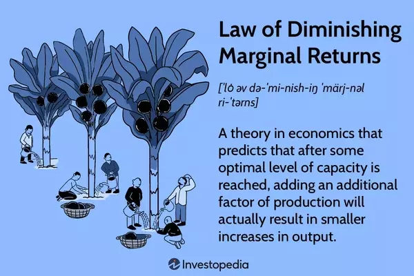 Understanding the Law of Diminishing Marginal Returns